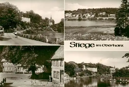 AK / Ansichtskarte  Stiege_Harz Strassenpartie Panorama Fachwerkhaus Gondelteich