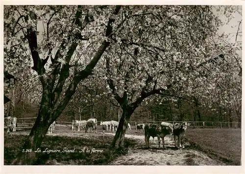 AK / Ansichtskarte  La_Ligniere_Gland_VD A la ferme