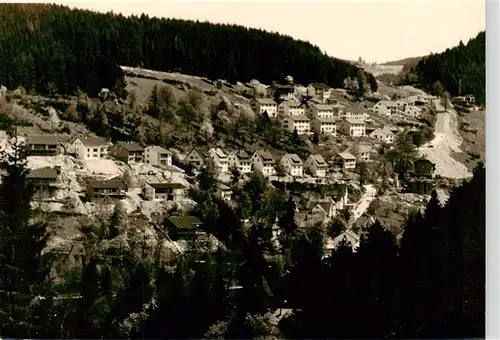 AK / Ansichtskarte  Triberg Panorama Handabzug