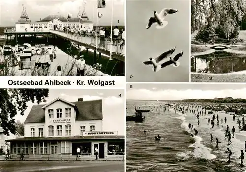 AK / Ansichtskarte  Ahlbeck_Ostseebad Seebruecke Moewen Park Erholungsheim des VEB Walzwerk Finow Strandpartie