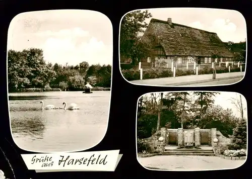 AK / Ansichtskarte  Harsefeld Schwanenteich Gasthaus Gedenkstaette