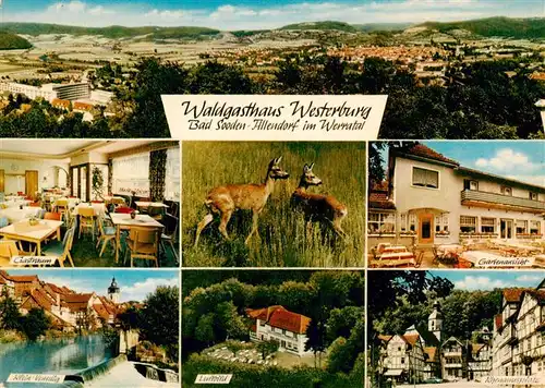 AK / Ansichtskarte  Bad_Sooden-Allendorf Panorama Gastraum Rehe Gartenterrasse Klein Venedig Fliegeraufnahme 