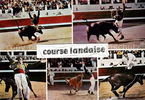 AK / Ansichtskarte  Stierkampf_Corrida_de_Toros_Bullfight Course landaise N 2465 