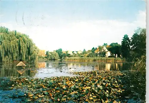 AK / Ansichtskarte 73922629 Buende__Westfalen Schwanenteich Buergerpark