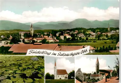 AK / Ansichtskarte 73922664 Fridolfing Panorama Seerosenteich Kirchen