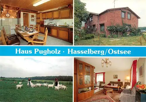 AK / Ansichtskarte 73922674 Hasselberg_Ostsee Haus Pugholz Gaststube Ziegenherde Aufenthaltsraum