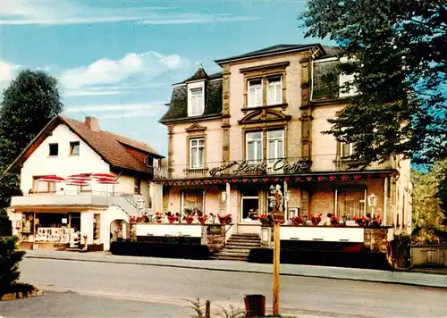 AK / Ansichtskarte  Bad_Salzhausen_Nidda Bienkos Park Cafe und Kurpension