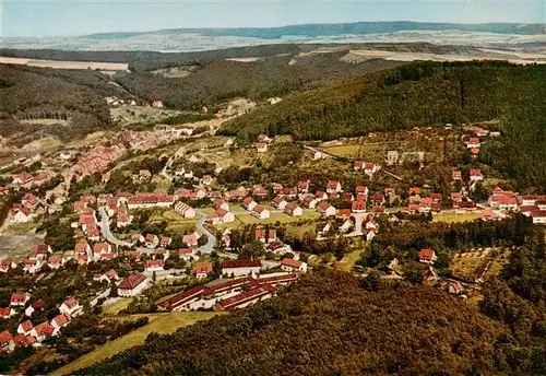 AK / Ansichtskarte  Bad_Salzdetfurth Fliegeraufnahme