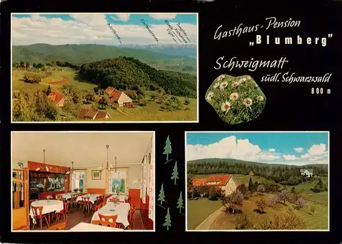 AK / Ansichtskarte  Schweigmatt_Schopfheim Gasthaus Pension Blumberg Gaststube Fliegeraufnahme