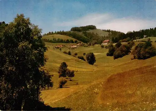 AK / Ansichtskarte  Schoenau_Schwarzwald Gasthof Pension Haldenhof