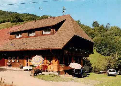 AK / Ansichtskarte  Wieden_Schwarzwald Albert Pfaendler