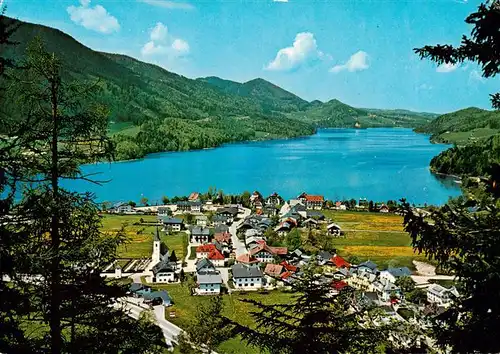 AK / Ansichtskarte 73923593 Fuschl_See_Salzkammergut_AT Panorama