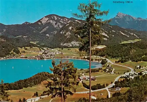 AK / Ansichtskarte 73923600 Fuschl_See_Salzkammergut_AT Panorama