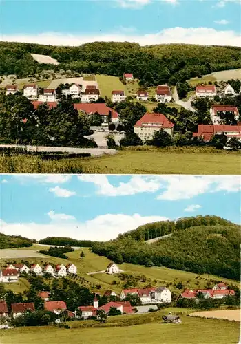 AK / Ansichtskarte  Steina_Suedharz Panorama