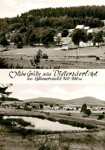 AK / Ansichtskarte  Dietersdorf_Oberviechtach Panorama Weiher