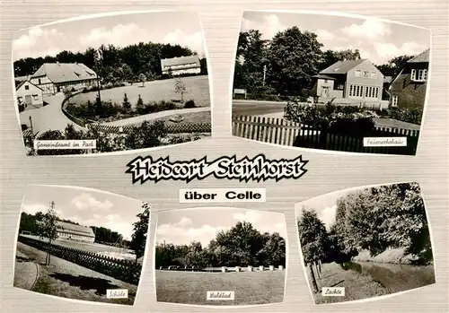 AK / Ansichtskarte  Steinhorst_Niedersachsen Gemeindeamt im Park Feuerwehrhaus Schule Waldbad Lachte