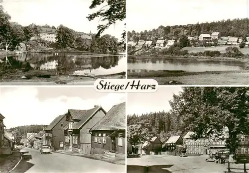 AK / Ansichtskarte  Stiege_Harz Panorama Teiche Ortspartien