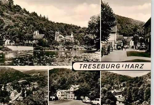 AK / Ansichtskarte 73924086 Treseburg_Harz Panorama Gasthaus Weisser Hirsch Ortspartien