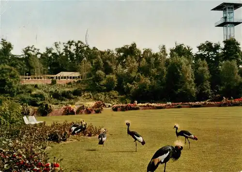 AK / Ansichtskarte  Stuttgart BUGA Stuttgart 1961 Park