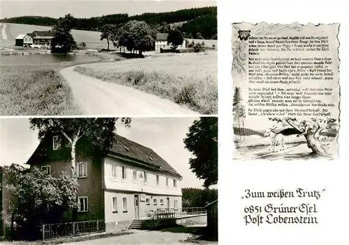 AK / Ansichtskarte 73924249 Lobenstein_Bad Gasthaus Zum weissen Trutz Panorama