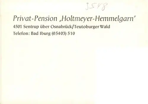 AK / Ansichtskarte 73924255 Sentrup Privat Pension Holtmeyer Hemmelgarn Gastraeume Gartenterrasse