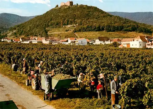 AK / Ansichtskarte 73924548 Neustadt__Haardt_Weinstrasse Weinlese mit Hambacher Schloss