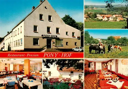 AK / Ansichtskarte 73924555 Zintlhammer_Pressath_Bayern Restaurant Pension Pony Hof Panorama Gastraeume Ponys