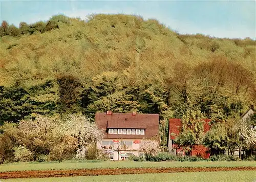 AK / Ansichtskarte  Rinteln_Weser Haus Frankenburg Gasthaus