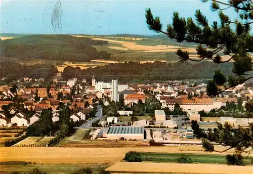 AK / Ansichtskarte  Marktheidenfeld Panorama