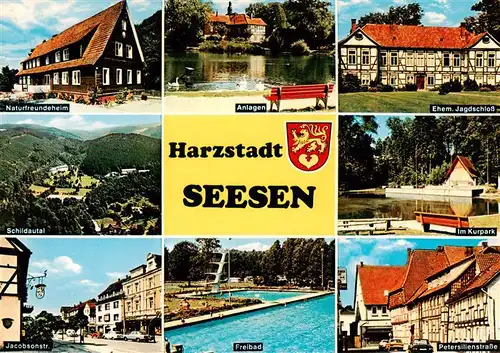 AK / Ansichtskarte  Seesen_Harz Naturfreundeheim Anlagen Ehem Jagdschloss Schildautal Kurpark Jacobsonstrasse Freibad Petersilienstrasse