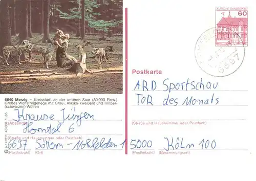 AK / Ansichtskarte 73924680 Merzig Wolfsfreigehege mit Grau Alaska und Timber Woelfen