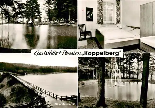 AK / Ansichtskarte 73924721 Wasserfuhr Gaststaette Pension Koppelberg Zimmer Gondelteich Silber Talsperre
