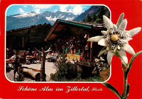 AK / Ansichtskarte 73924787 Zillertal_Tirol_AT Schoene Alm