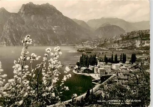 AK / Ansichtskarte  Torbole_Lago_di_Garda_IT Primavera sul lago di Garda