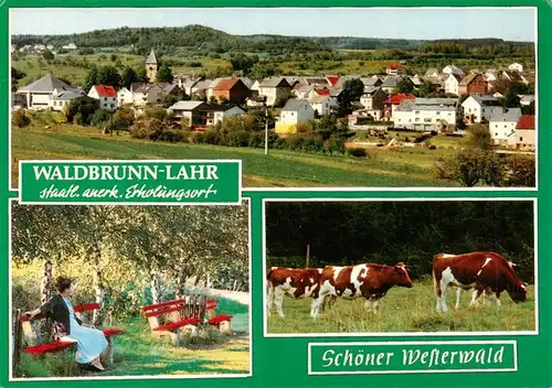 AK / Ansichtskarte 73924976 Waldbrunn_Westerwald Panorama Park Rinderherde