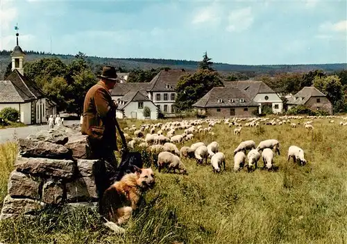 AK / Ansichtskarte  Neuhaus_Solling Ortspartie mit Schaefer und Schafherde