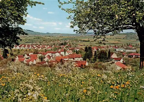 AK / Ansichtskarte 73925065 Bietingen_Gottmadingen Panorama