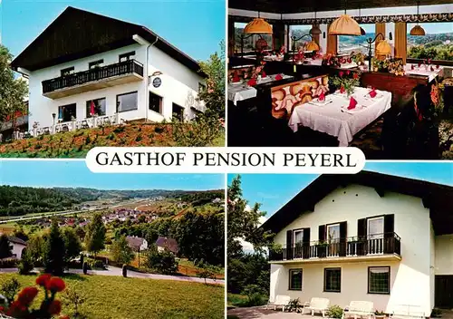 AK / Ansichtskarte  Lassnitzthal Gasthof Pension Peyerl Gastraum Panorama