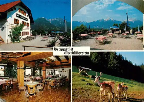 AK / Ansichtskarte 73925234 Berchtesgaden Berggasthof Oberkaelberstein Gastraum Freiterrasse Rotwild