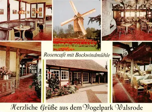 AK / Ansichtskarte 73925257 Walsrode_Lueneburger_Heide Vogelpark Walsrode Rosencafe mit Bockwindmuehle Gastraeume