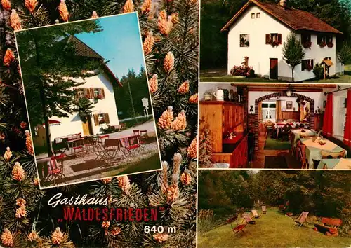 AK / Ansichtskarte  Ludwigsthal Gasthaus Pension Waldesfrieden Gastraum Terrasse Garten