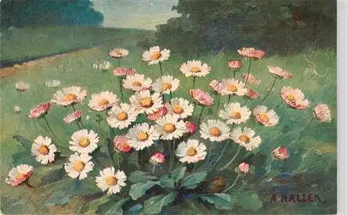 AK / Ansichtskarte  Haller_Anna Evilard