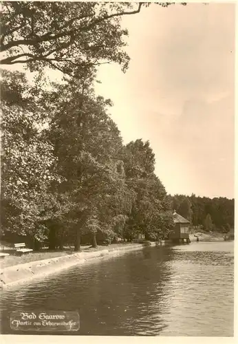 AK / Ansichtskarte  Bad_Saarow Partie am Scharmuetzelsee