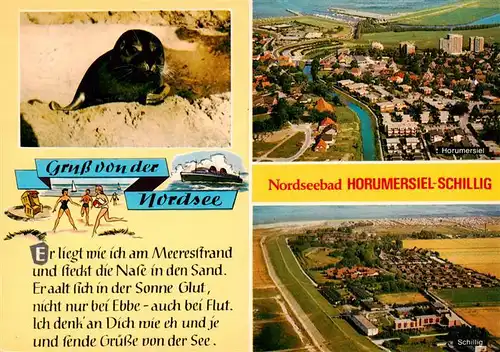 AK / Ansichtskarte 73925805 Schillig_Horumersiel_Nordseebad Seehund Fliegeraufnahme Horumersiel und Schillig