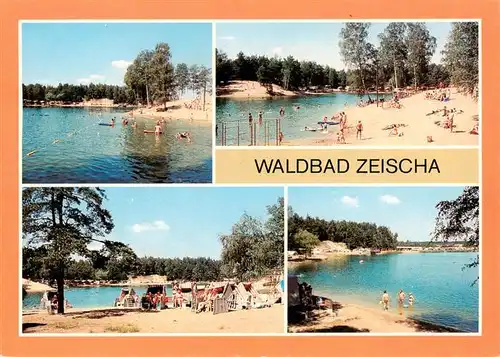 AK / Ansichtskarte  Bad_Liebenwerda Waldbad Zeischa Strandpartien