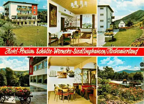 AK / Ansichtskarte 73925836 Siedlinghausen_Winterberg Hotel Pension Schulte Wernecke Gastraeume Terrasse Park