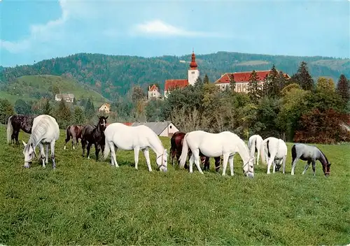 AK / Ansichtskarte  Koeflach_Steiermark_AT Lipizzanergestuet Piber Pferdekoppe Kirche