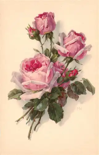 AK / Ansichtskarte  Verlag_Meissner_und_Buch Rosa Rosen