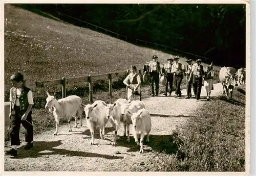 AK / Ansichtskarte  Appenzell_IR Alp Aufzug