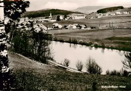AK / Ansichtskarte  Blaibach Panorama